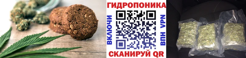 Canna-Cookies конопля  Новомичуринск 