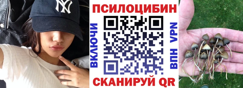 Галлюциногенные грибы MAGIC MUSHROOMS  купить закладку  Новомичуринск 
